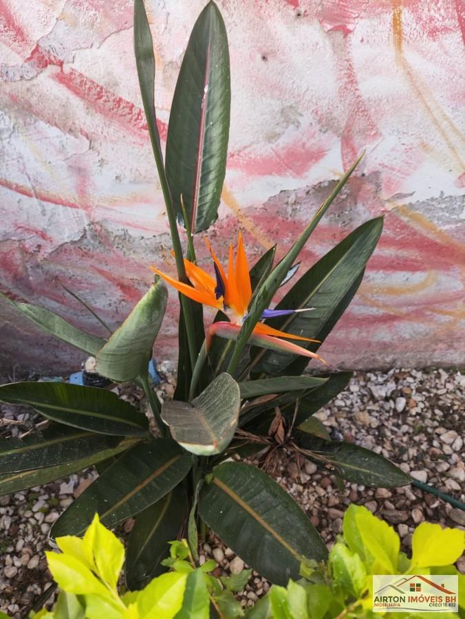 Casa, 2 quartos, 120 m² - Foto 20